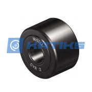 CYR1.1/2S McGill