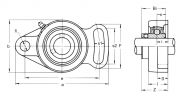 UCFA209 Asahi