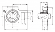 UCT313 Asahi