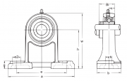 UCPH206 Asahi