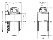 UK 209 + H 2309 Asahi