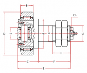 ECF 062-62.5 BECO