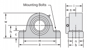 EPB2-307 Bower