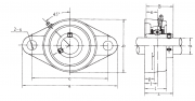 UCFL307 FBJ