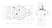 UCFA204 FBJ