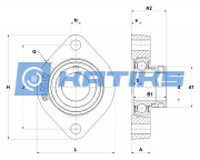 ASFD205 NTN