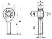 GAXSW12MS Fluro