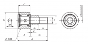 CFE6VBUU IKO