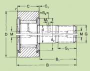 CF20 INA