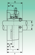 UCFL214 ISB