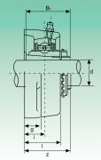 UKFL209+H2309 ISB