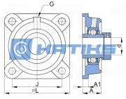 EXFE209 SNR