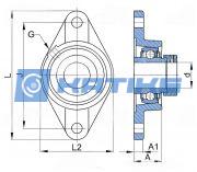 OWFS45 PTI
