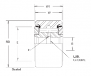 CYR1-1/2S McGill