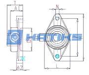 MRC.C2F25SS SKF