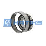 N308E G15 SNR