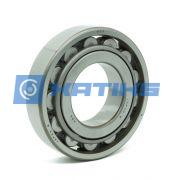 N206 SKF