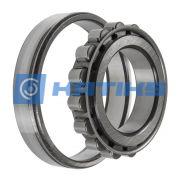 N313NR SKF