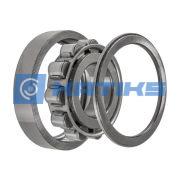NP319 SKF