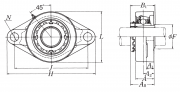 UKFL207D1 NSK