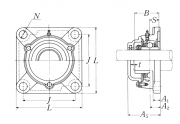 C-UCFX11-203D1 NSK