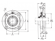 UCFCX08D1 NSK