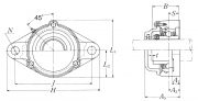 C-UCFL311-203D1 NSK