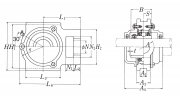 C-UCT311-203D1 NSK