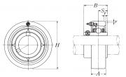 UCCX11-203D1 NSK