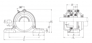 C-UCPX11-203D1 NSK