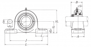 UCPL211-203D1 NSK