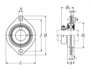 AELPFL208-108W3 NSK