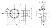 UELT211-203D1W3 NSK