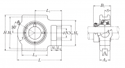 UELT311-203D1W3 NSK