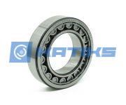 NU206 SKF
