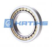 NUP226E.M1.P63.F1.J20 FAG