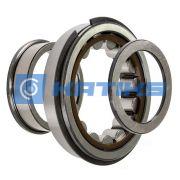 NUP315CNP SKF