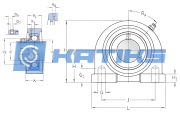 P2BT 108-FM SKF