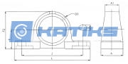 PX11R45 Asahi