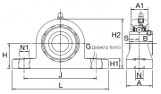 PNP30CR RHP