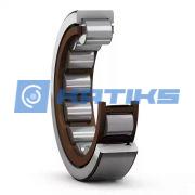 RNU2204TN9 SKF