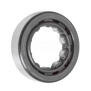 RNU2204 SKF