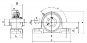 UCP311-35 Rollway