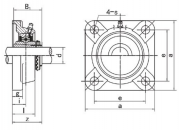 UKF209;H2309 Rollway