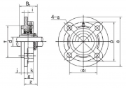 UKFC209 ; H2309 Rollway