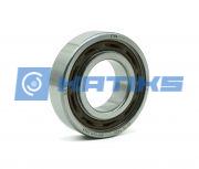 6205ETN9 SKF