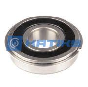 W312PPG Timken