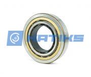 QJ218N2 TNG Neutral
