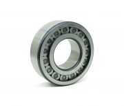 SL18-2215 INA