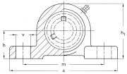 P16207 SLF Fraureuth